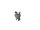Befestigungsclip Motorhauben Emblem Mercedes G-Klasse W460 W461 W463