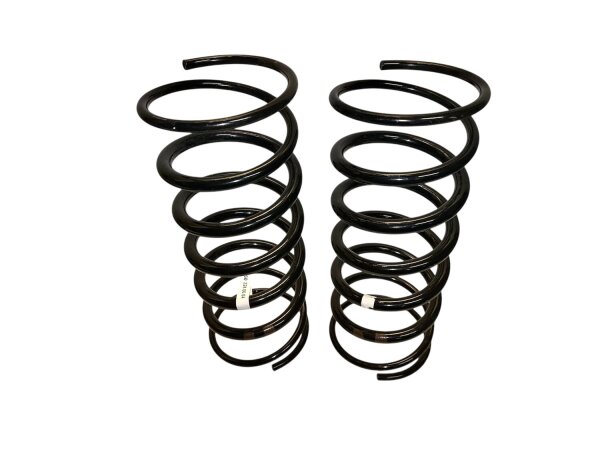Federn hinten Satz Fahrwerksfedern Mercedes G-Klasse W460 W461 Original.