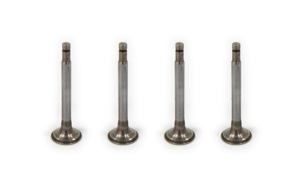 Auslassventile Satz GAZ66, Tschaika GAZ13.