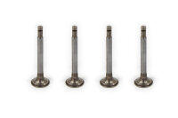 Auslassventile Satz GAZ66, Tschaika GAZ13.